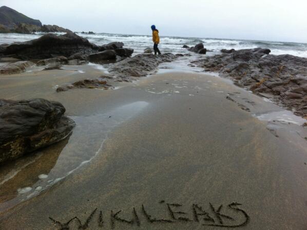 WikiLeaks Everywhere - Cornwall